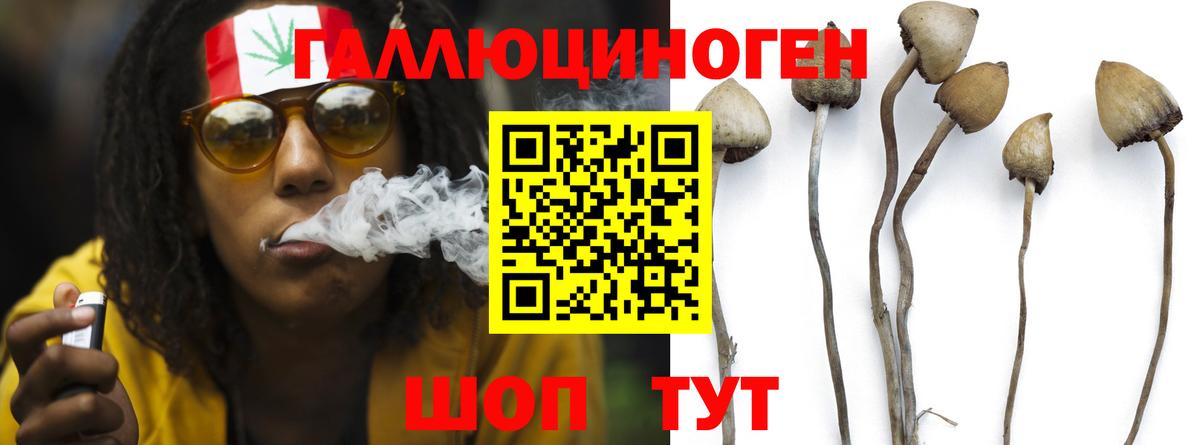 Саров  Галлюциногенные грибы Psilocybine cubensis  Вход с VPN  Псилоцибиновые грибы Cubensis 